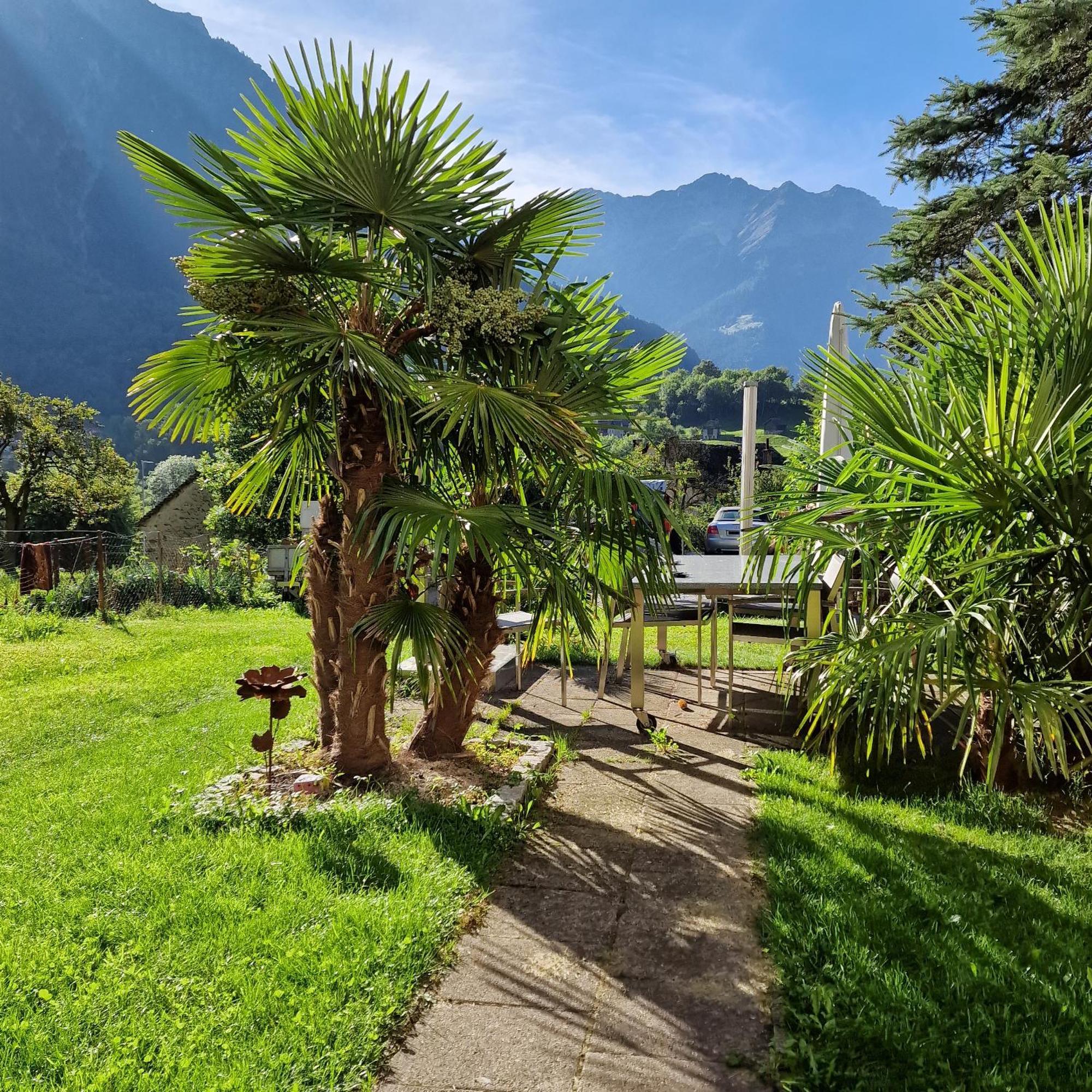 Olivone Relais Del Sosto Bed & Breakfast エクステリア 写真
